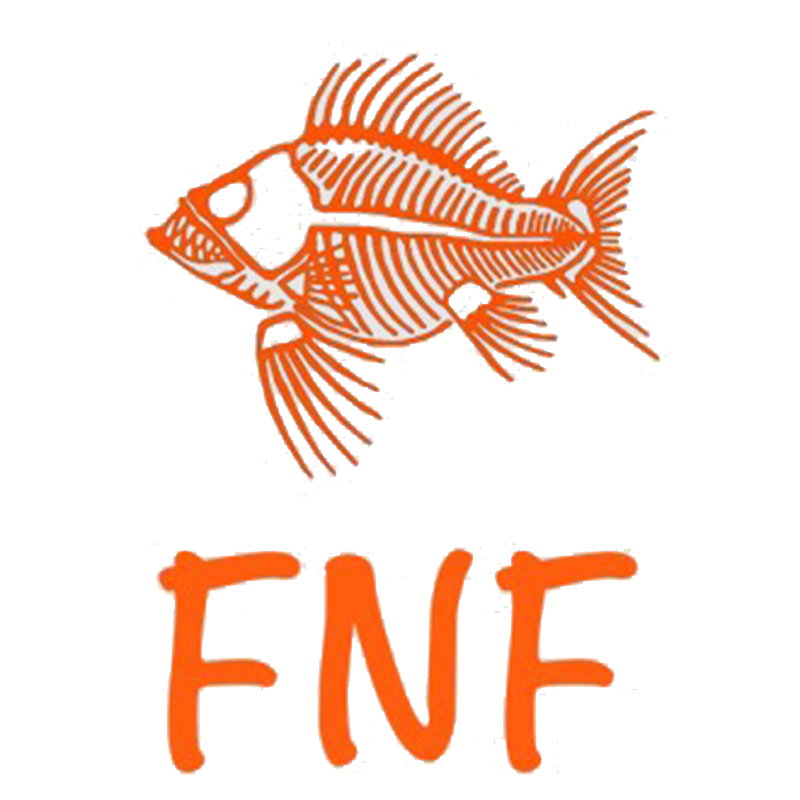 FNF Logo