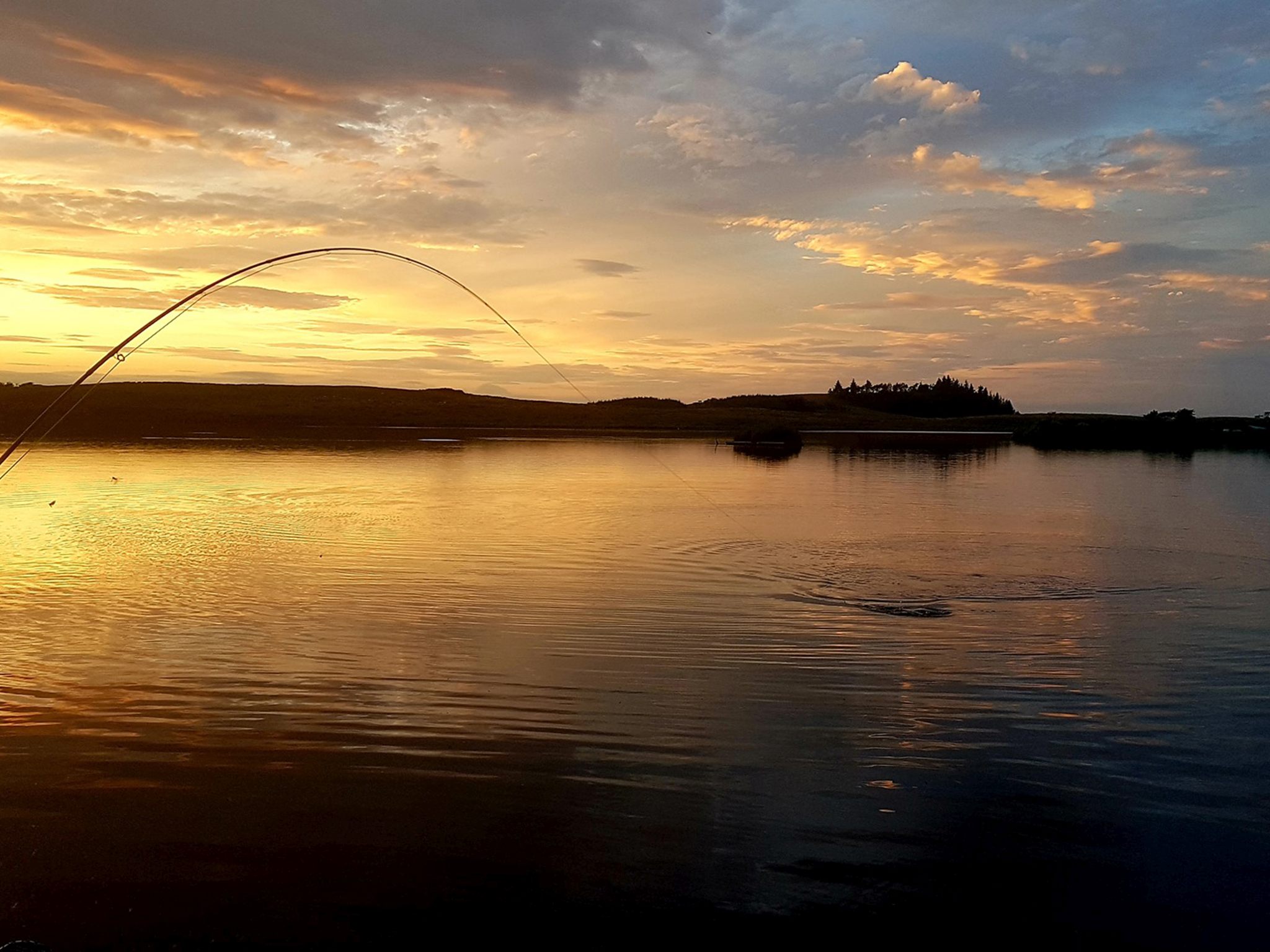 Harelaw Trout Fishery