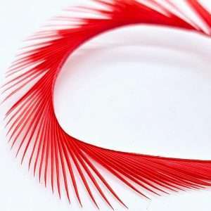 Chuck & Duck Electric Goose Biots