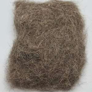 Chuck & Duck Hare & Squirrel