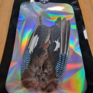 Alba Fly Tying Blue Jay Wings