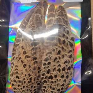 Alba Fly Tying Hen Pheasant Wings